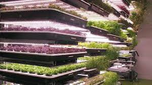 LED Plant lys SMT produktionslinje